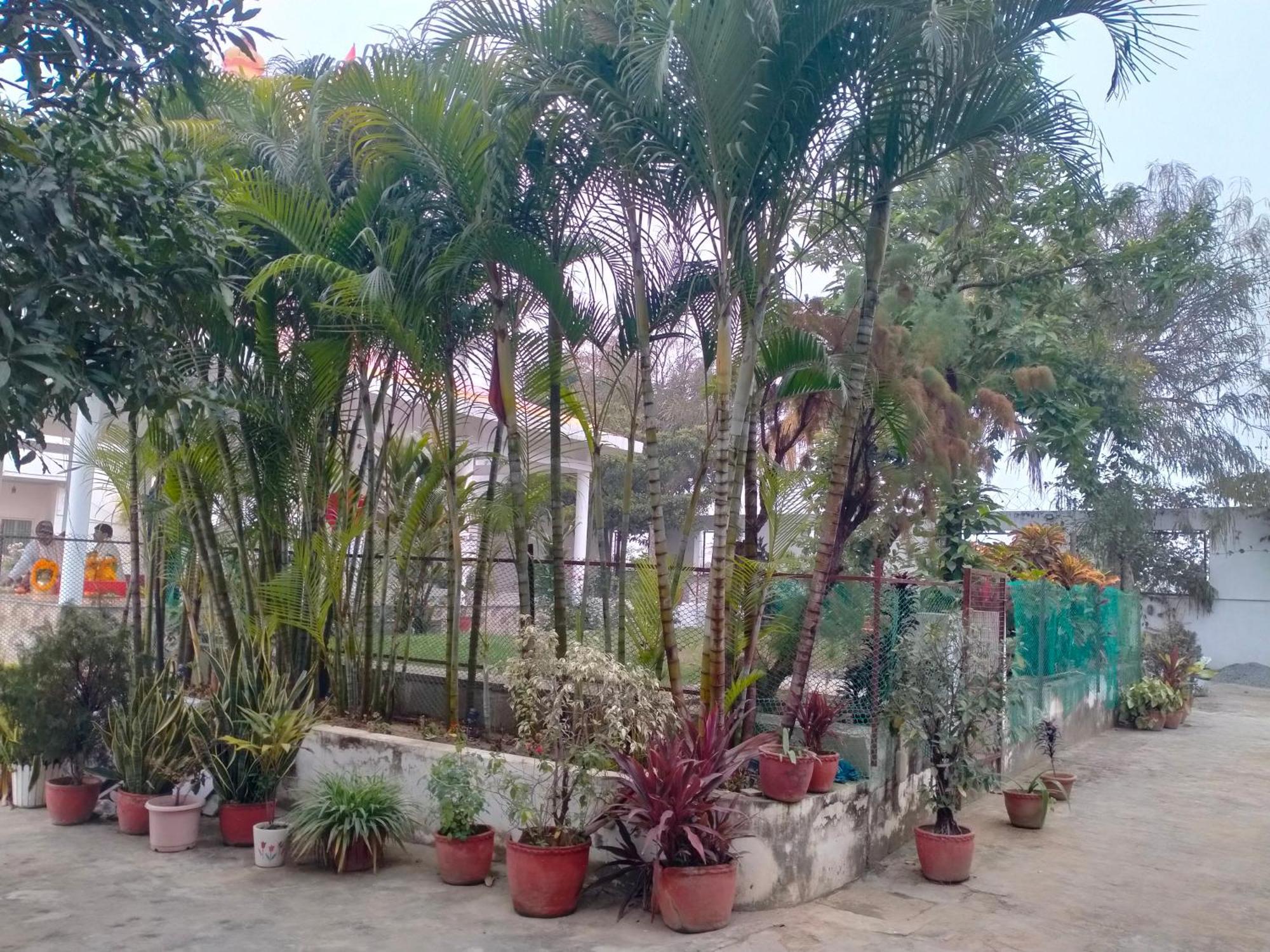 Vedic Villa Varanasi Exterior photo